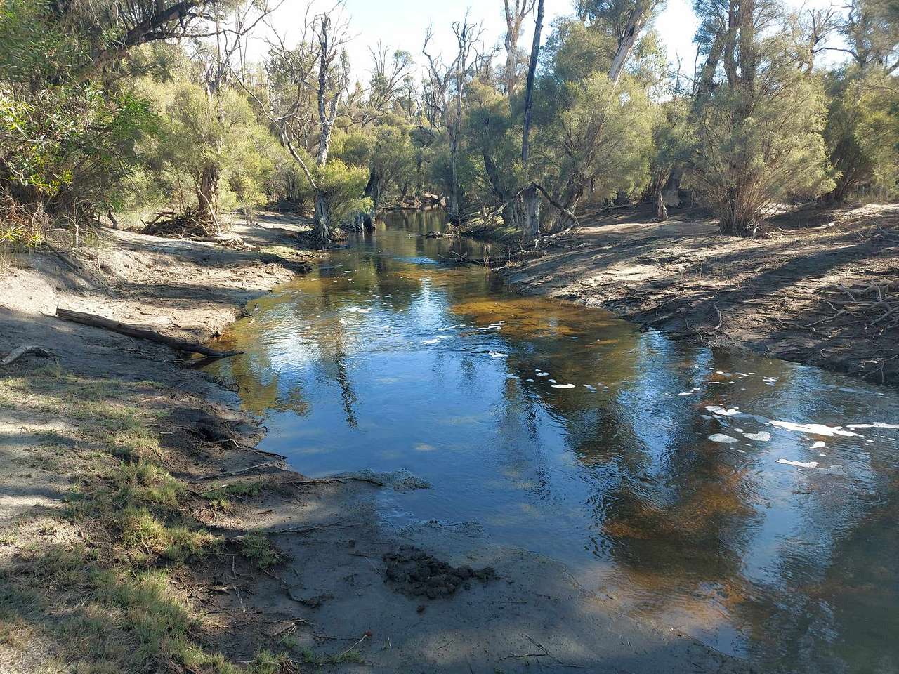 Murray Valley Camping