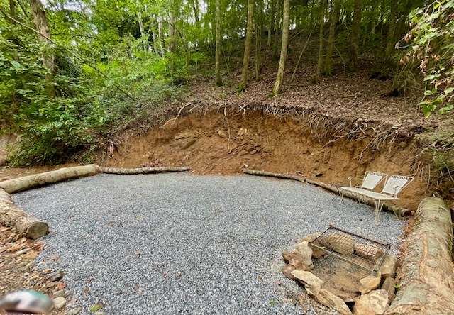 Picture of the site