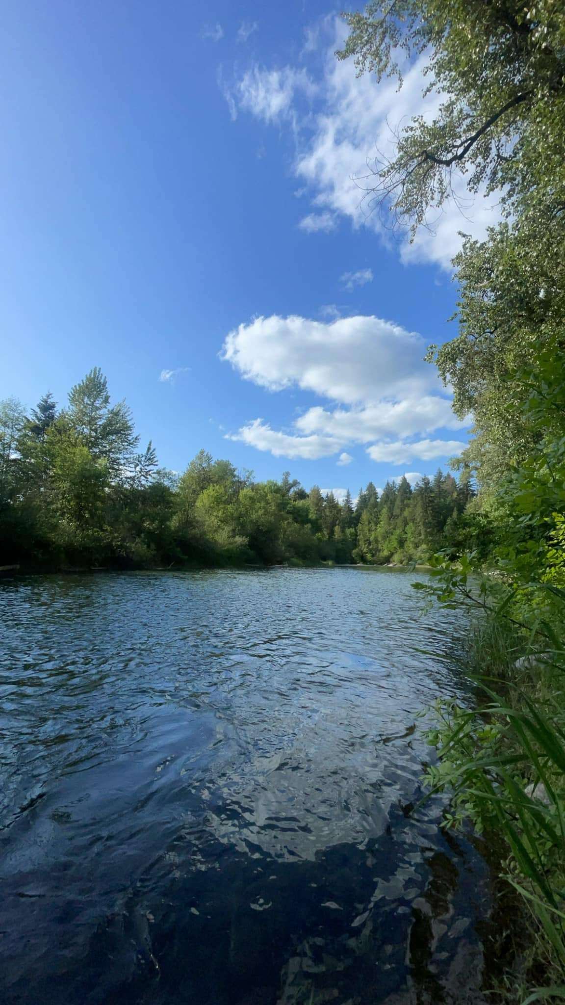 Molalla Ripple