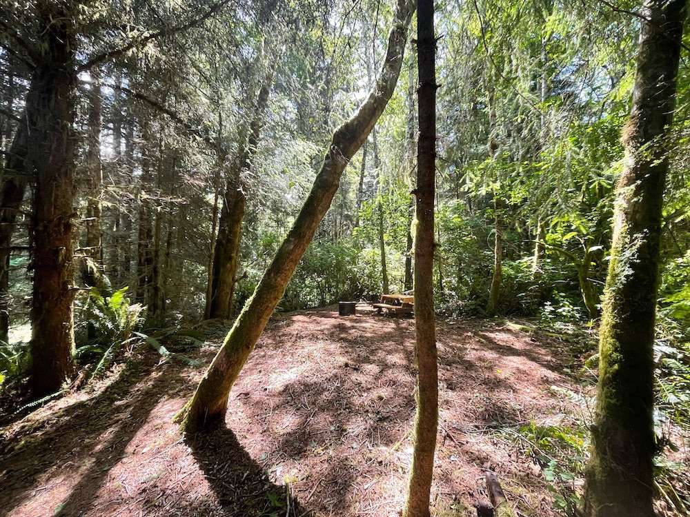 Mystic Forest Campground