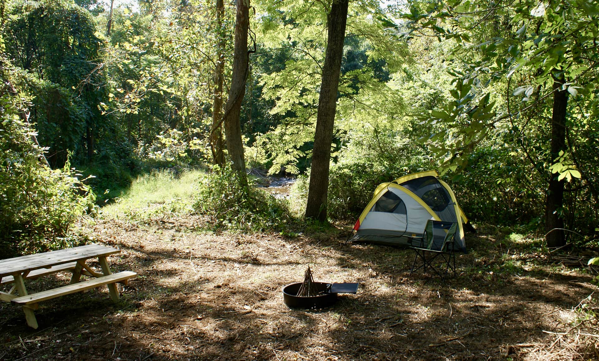 Picture of the site