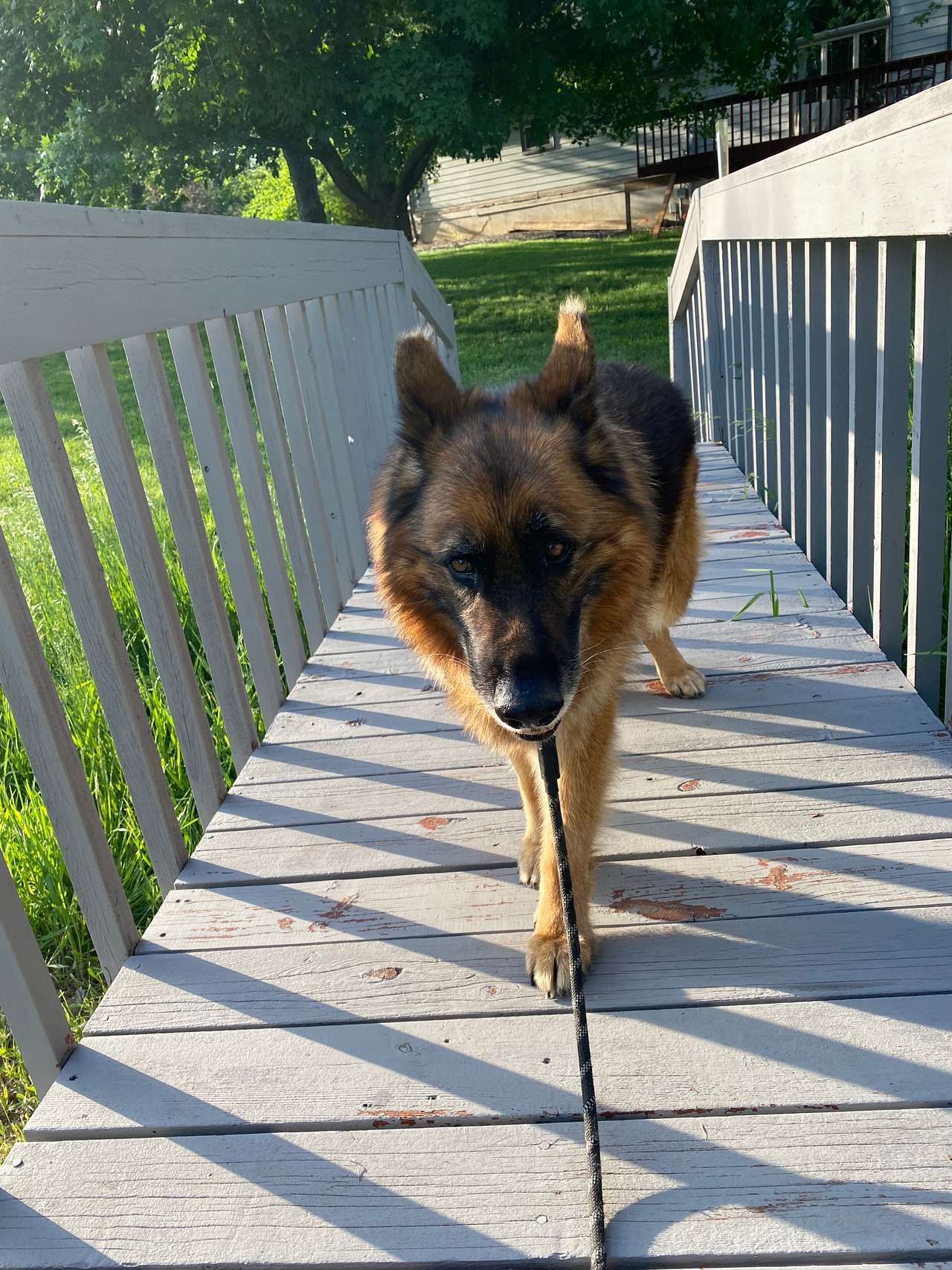 View pets photos of Cottonwood Creek Camp