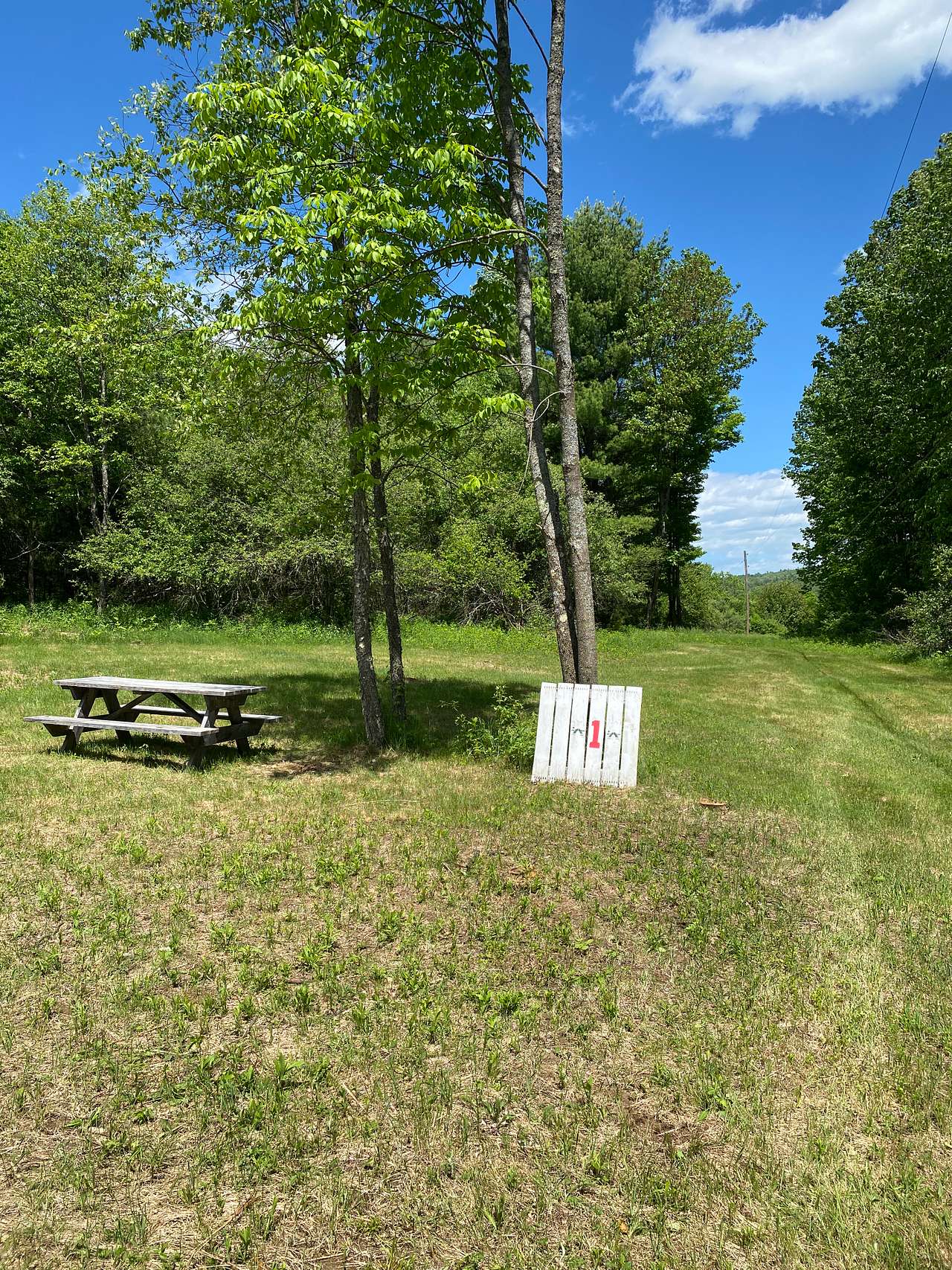 ADK Saddle Hill