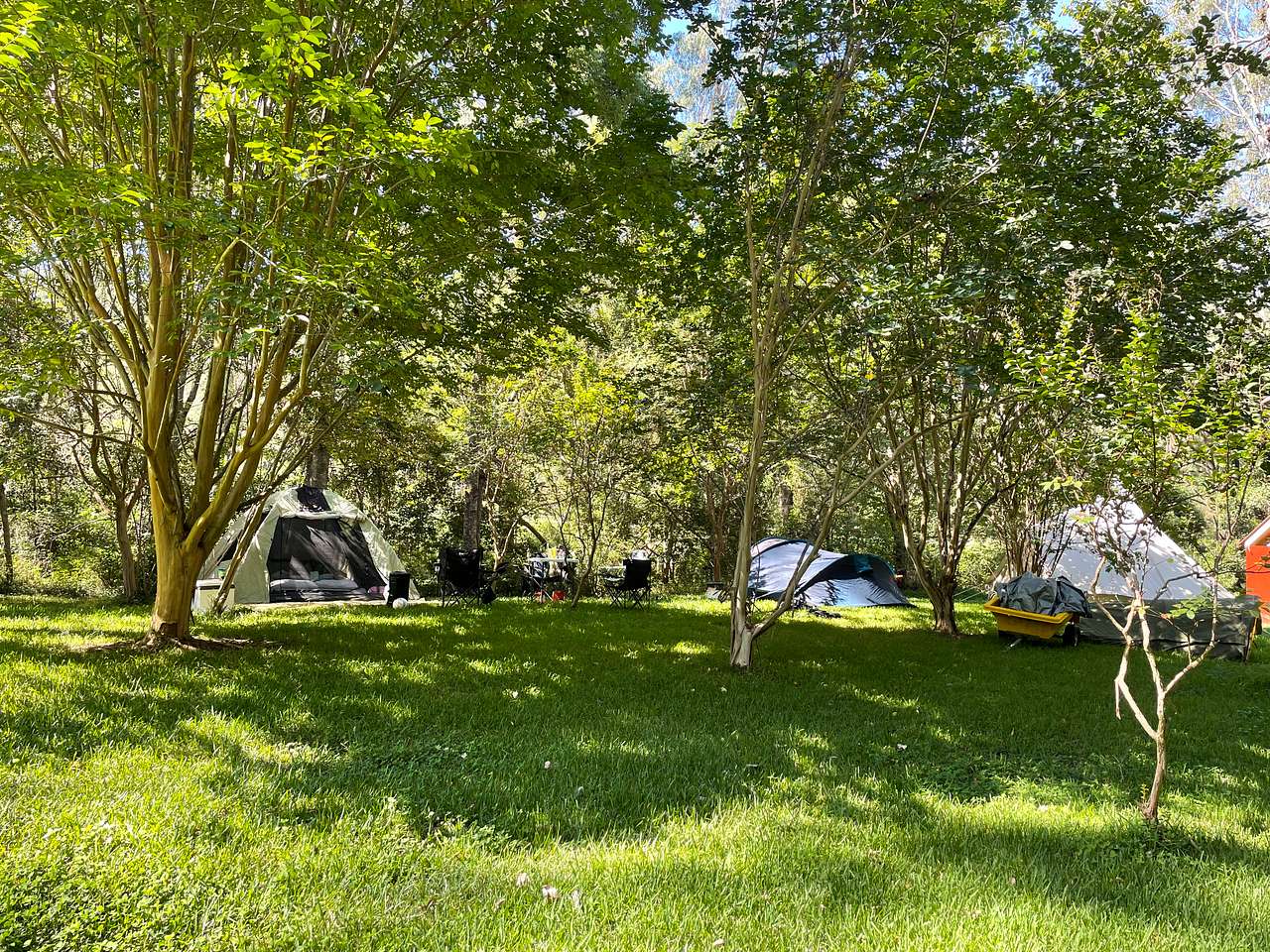 Split Yard Creek