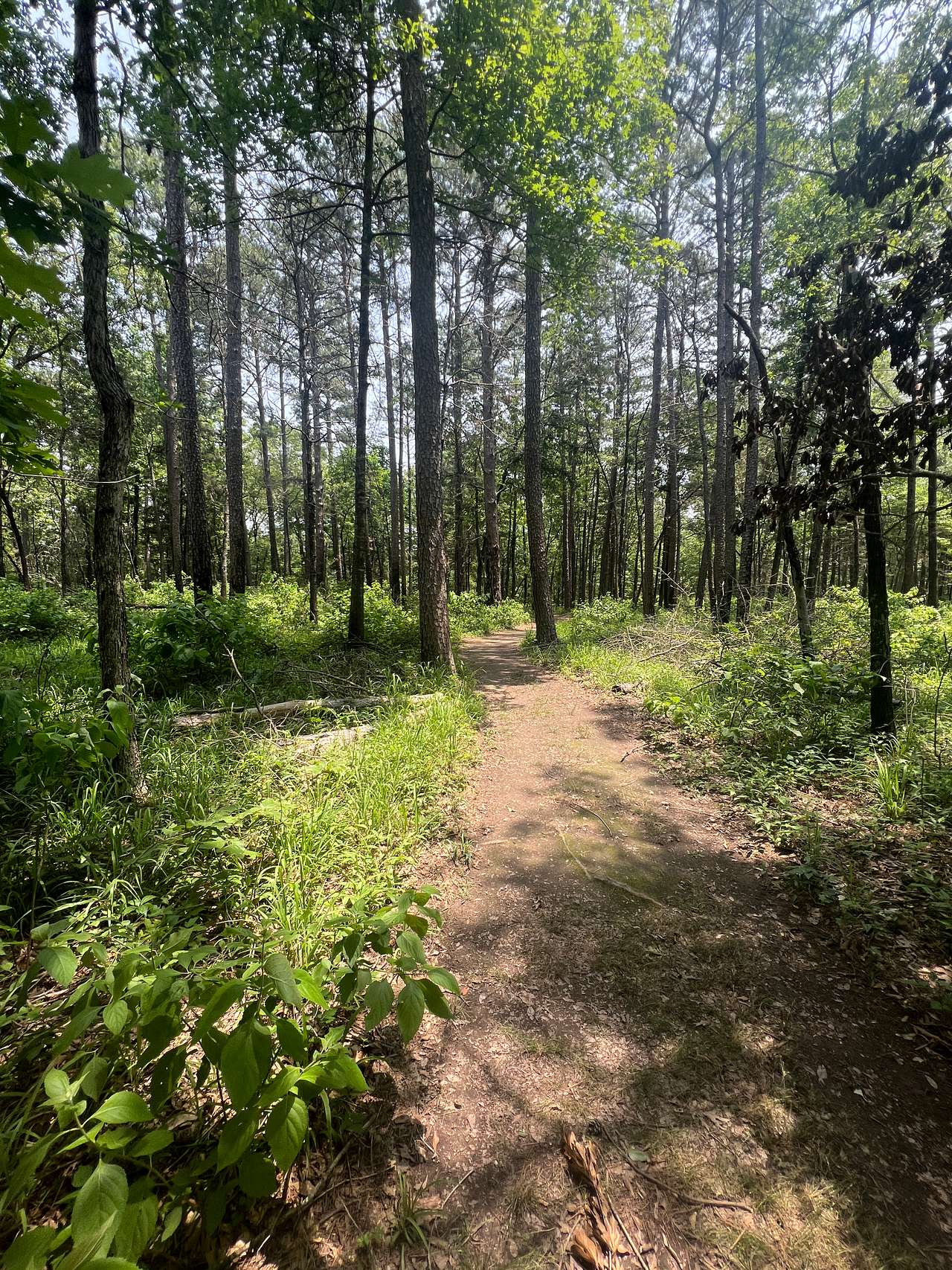 Nearby hiking 