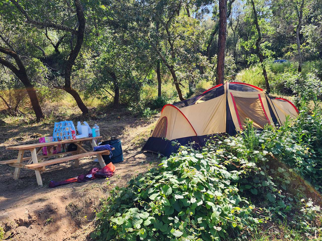 Picture of the site