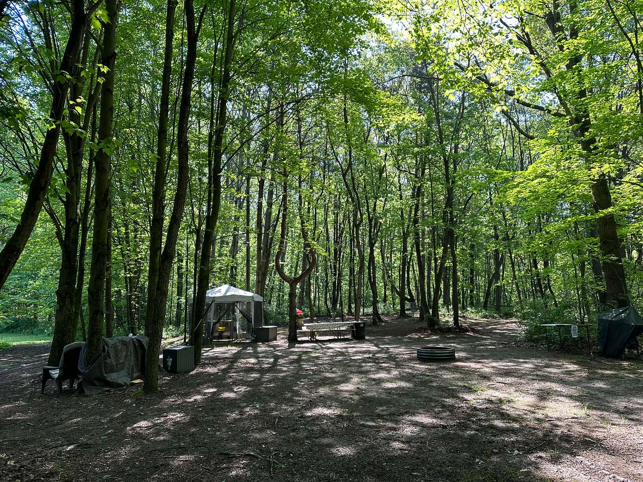 Sugar Shack Disc Golf Campground