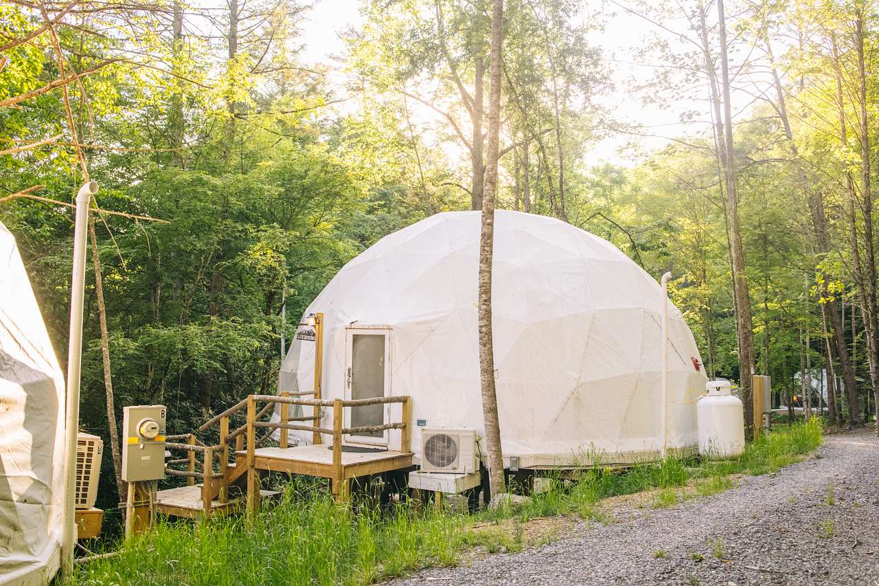 Wanderlust Woods
