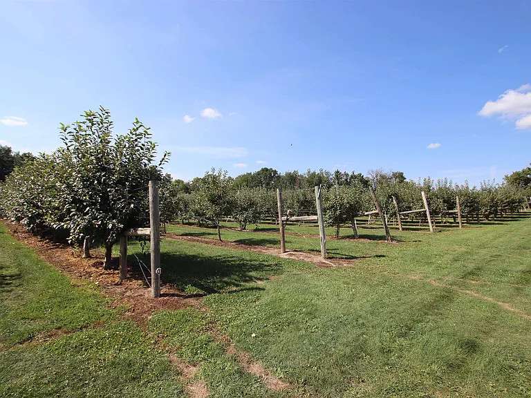 Armstrong Orchard & Spoonlickers