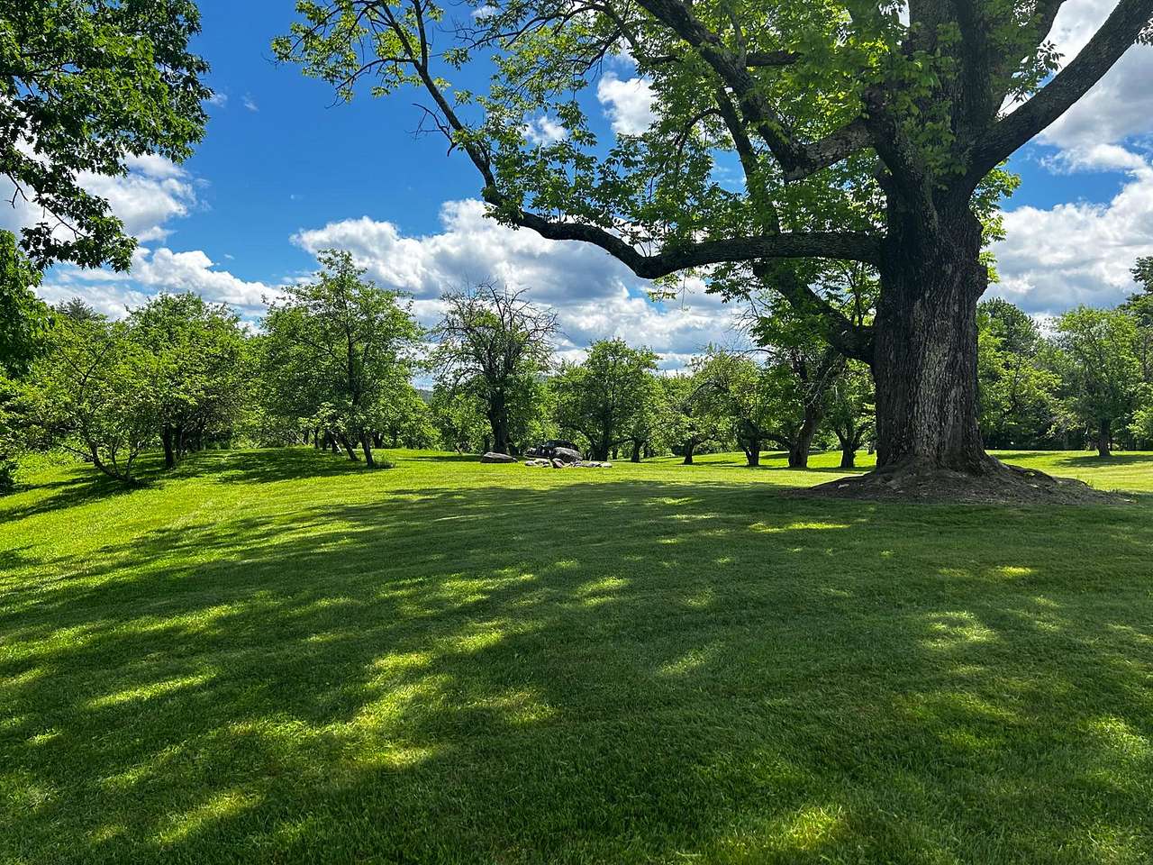 Sunset Hill Orchard