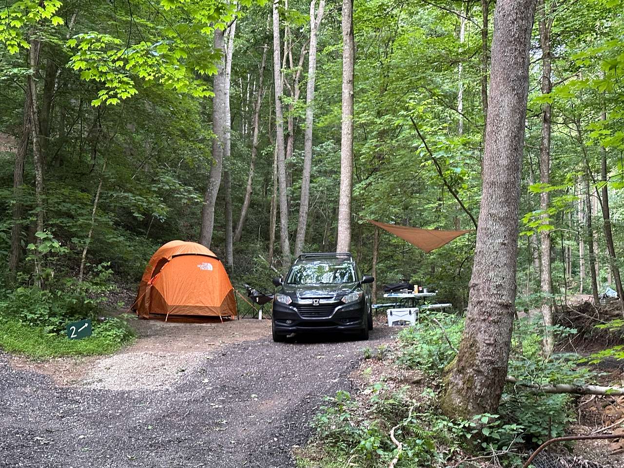 Picture of the site
