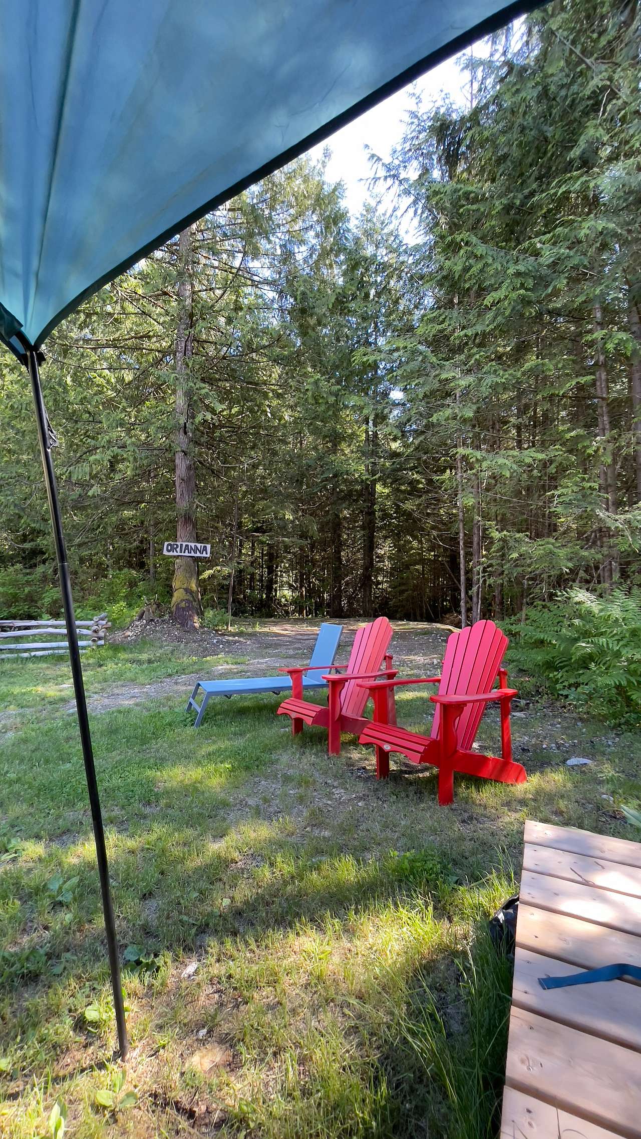 Picture of the site