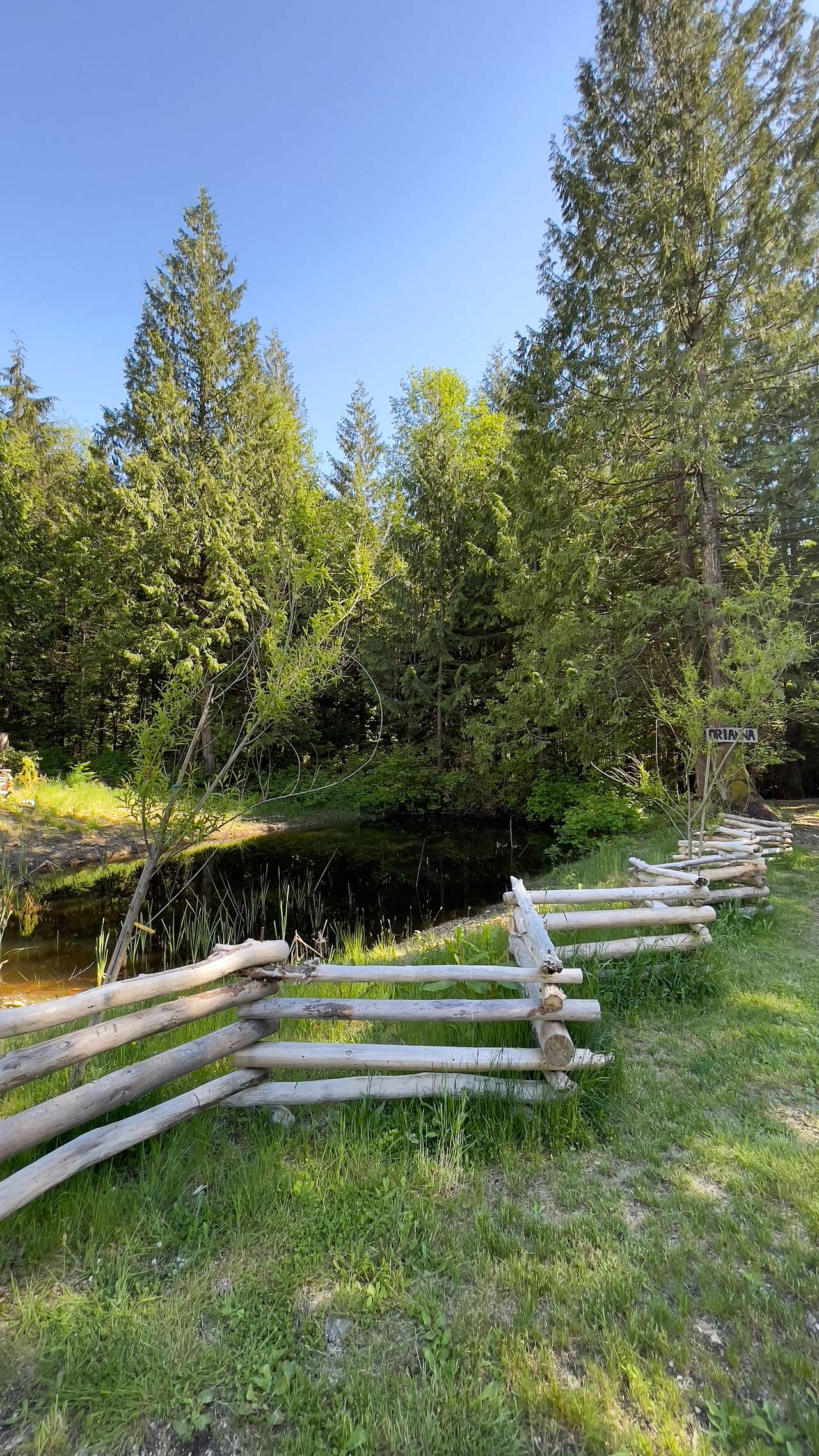 Picture of the site