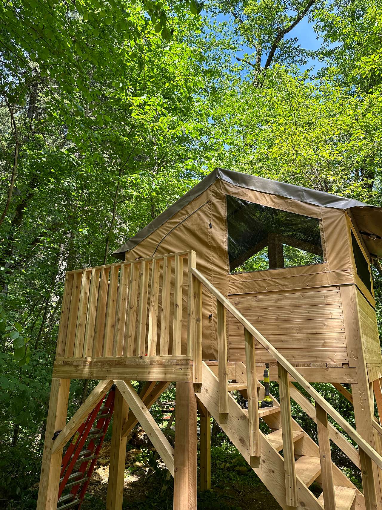 Picture of the site