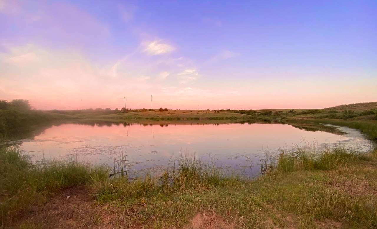 Sunrise over the pond