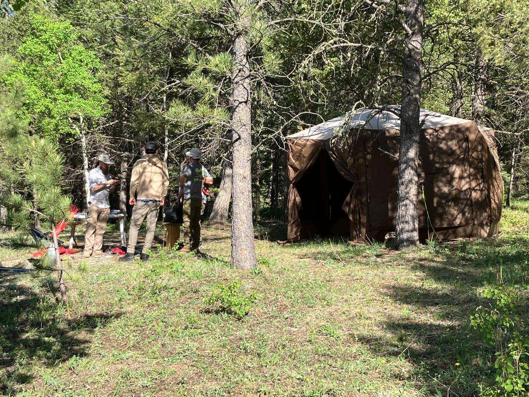 Picture of the site