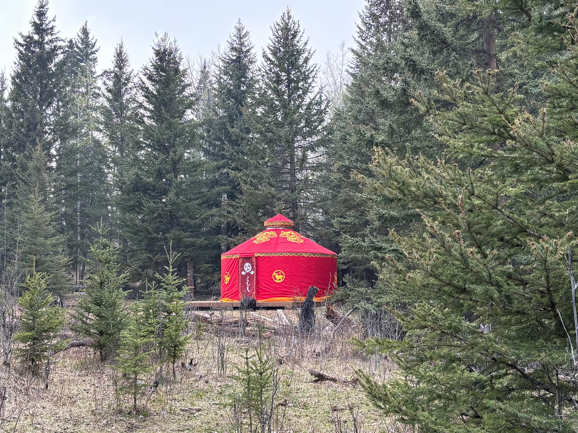 Forest Glen Yurt is our answer to the requested "remote" site at Collinswood Retreat. Tucked in the woods close to the walking trails, this site is WALK IN, so pack only the essentials! There will be a wagon to assist you on the 10 minute walk from the parking area to the yurt as needed. Onsite there is an outhouse, BBQ, fire pit & food storage locker.