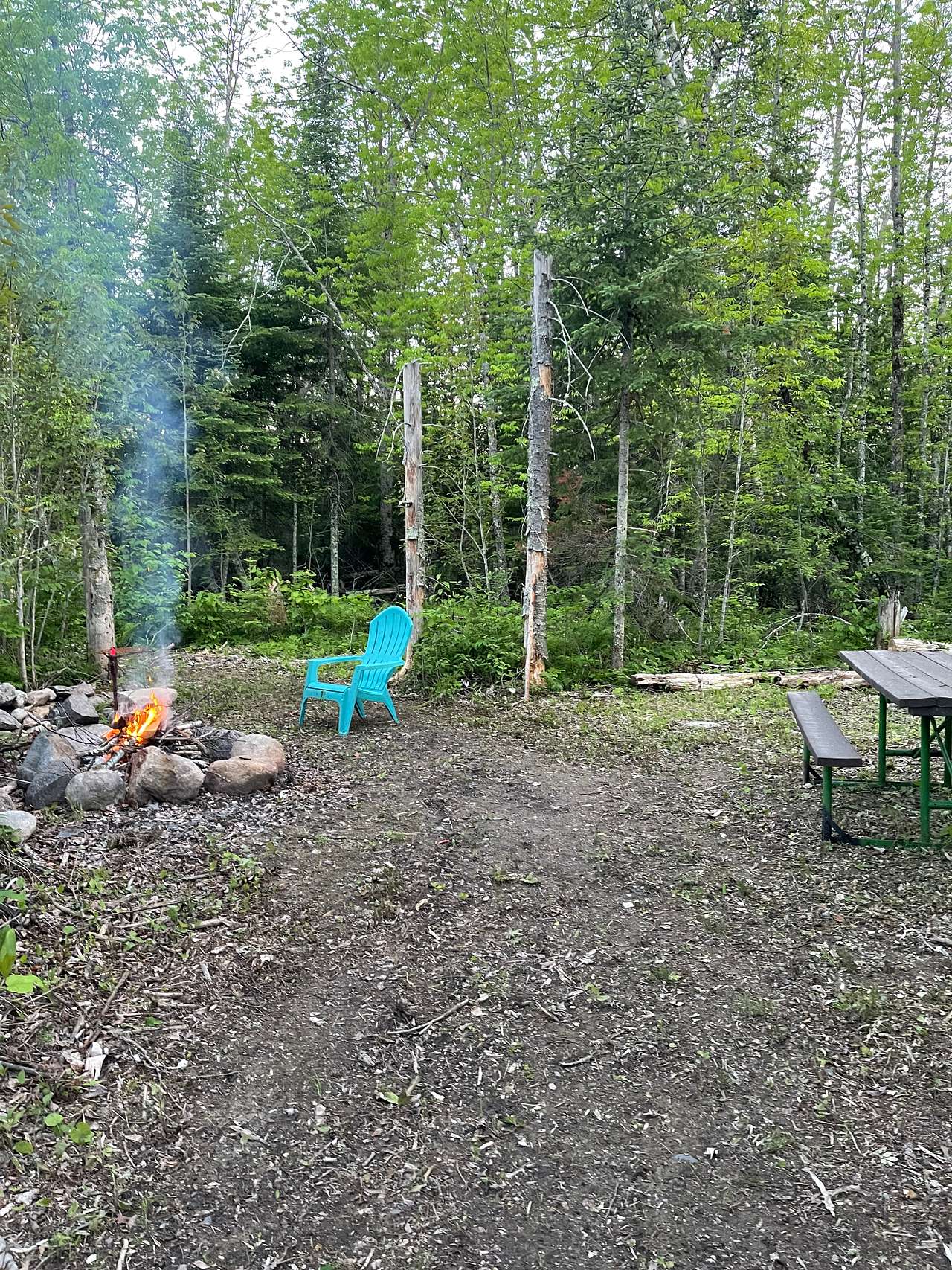Picture of the site