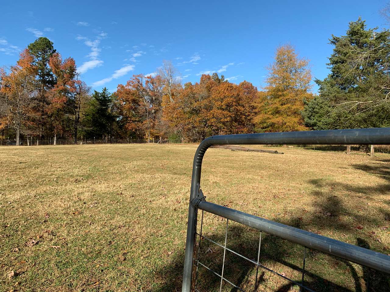 View more photos of Reckless Raven Farm
