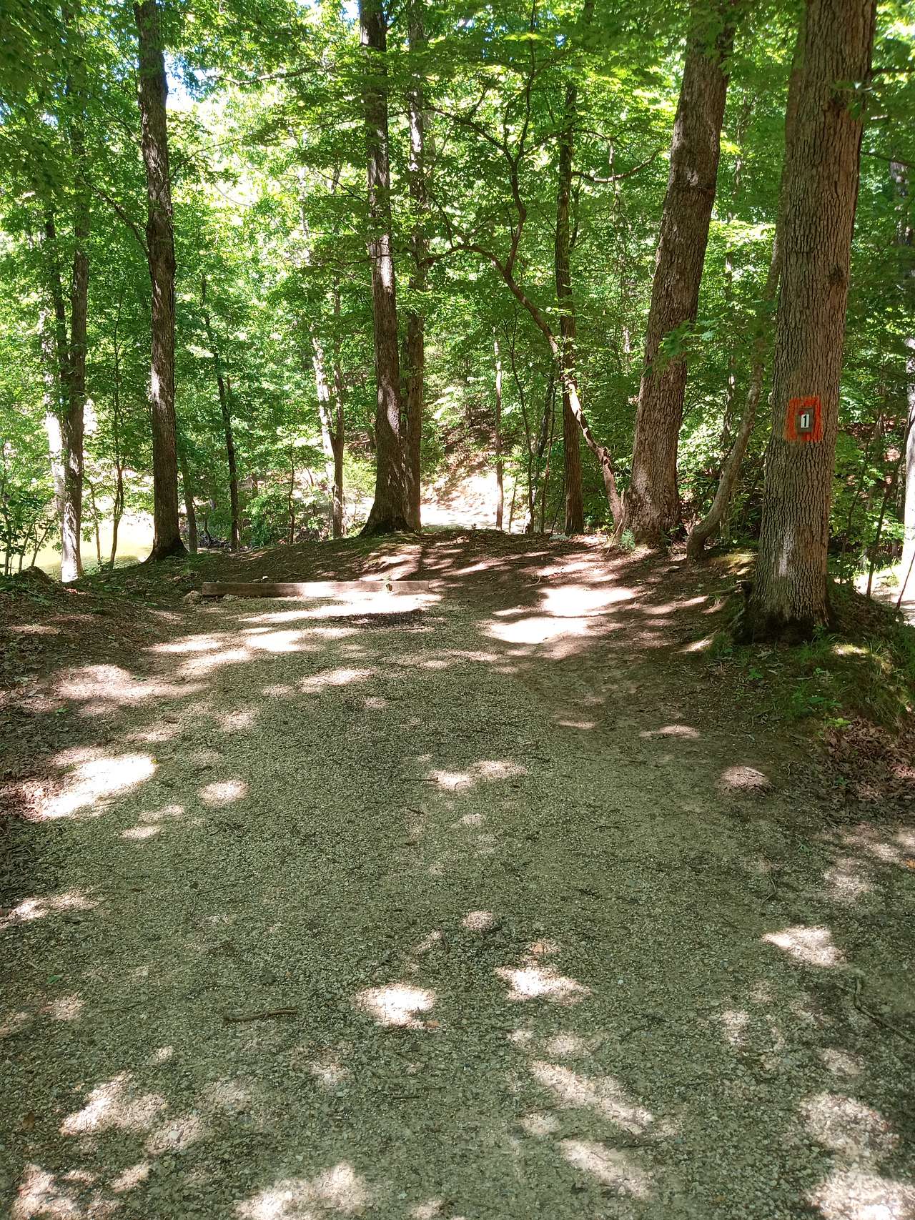 Campsite 1 has a beautiful view and lake access is also very private it stays secluded by itself, with boat slip availability!