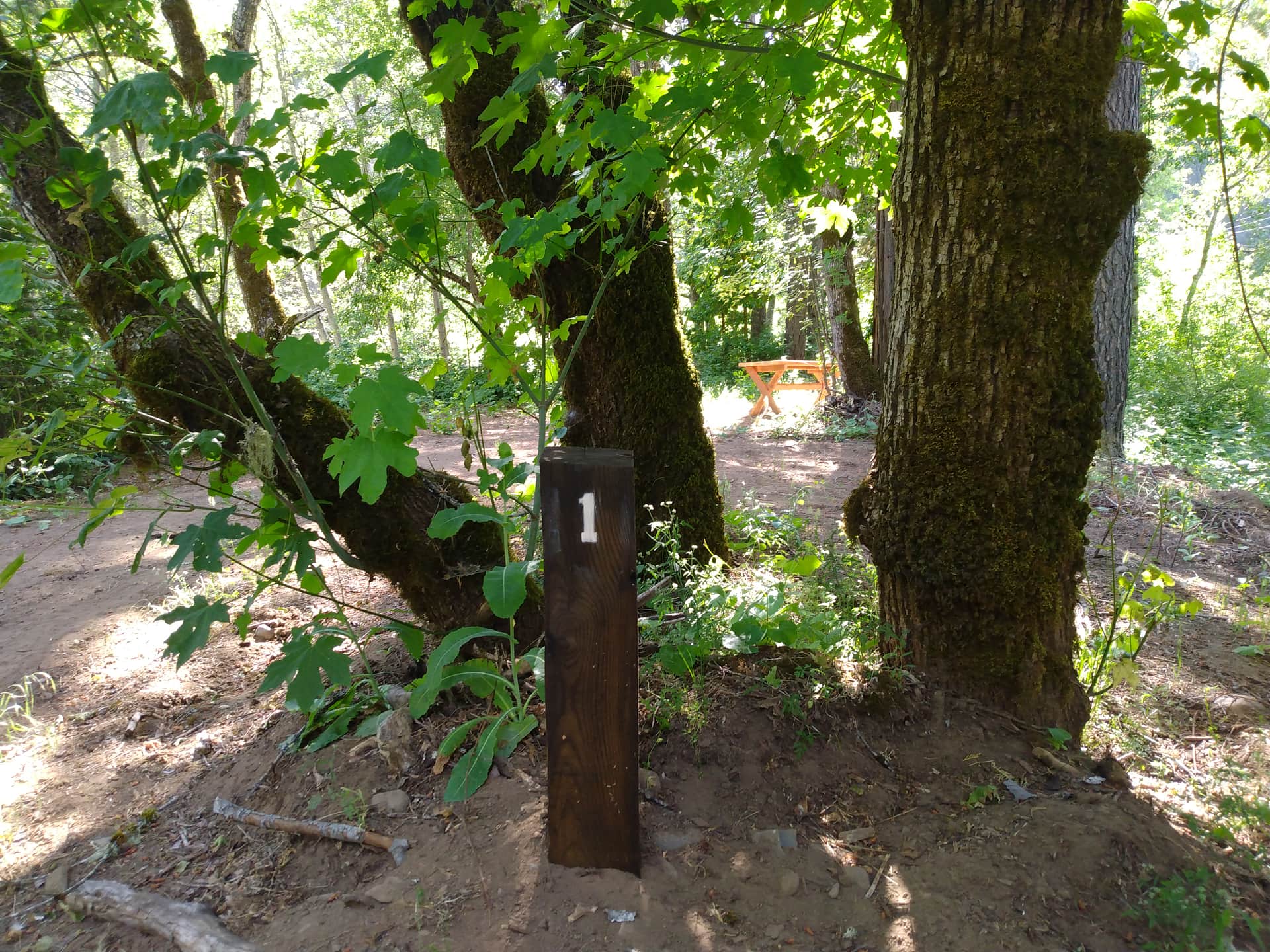 Camp Stoney Meadows
