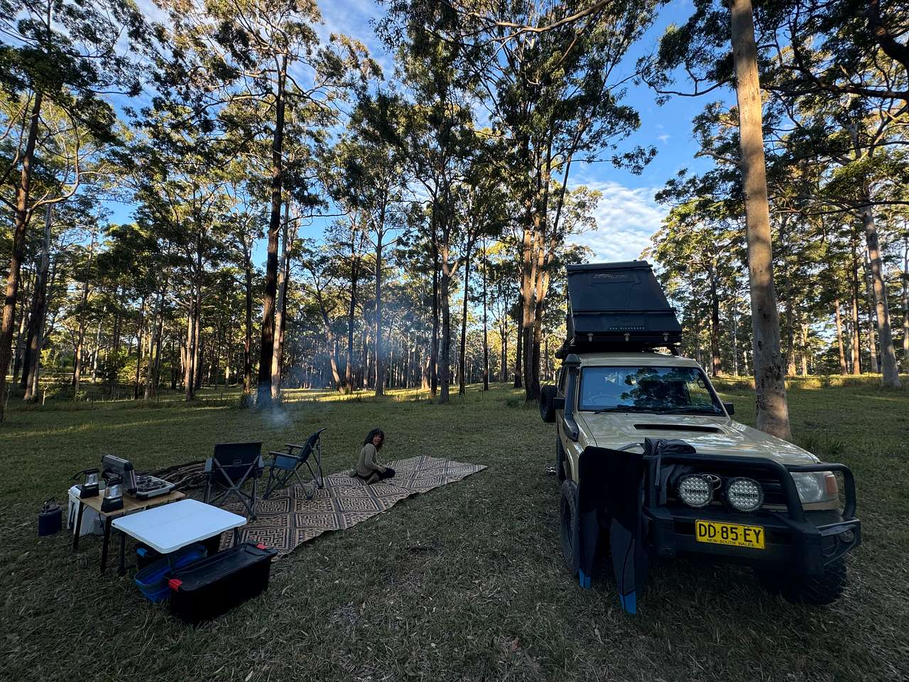 Picture of the site
