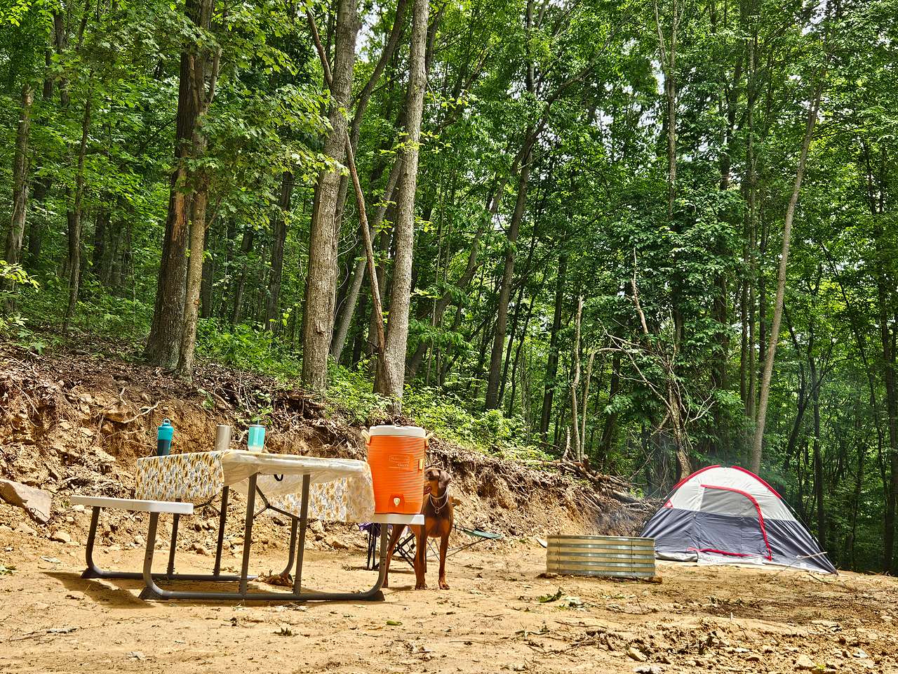 Picture of the site