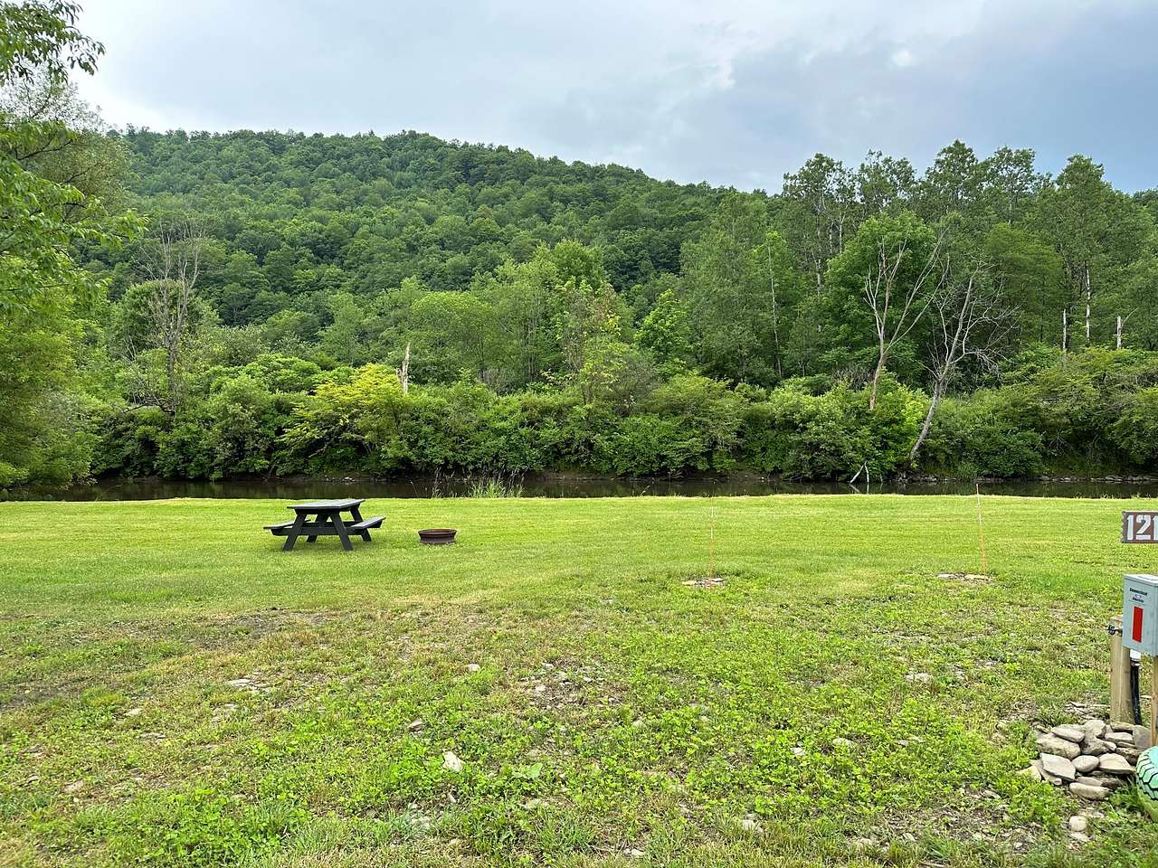 Picture of the site