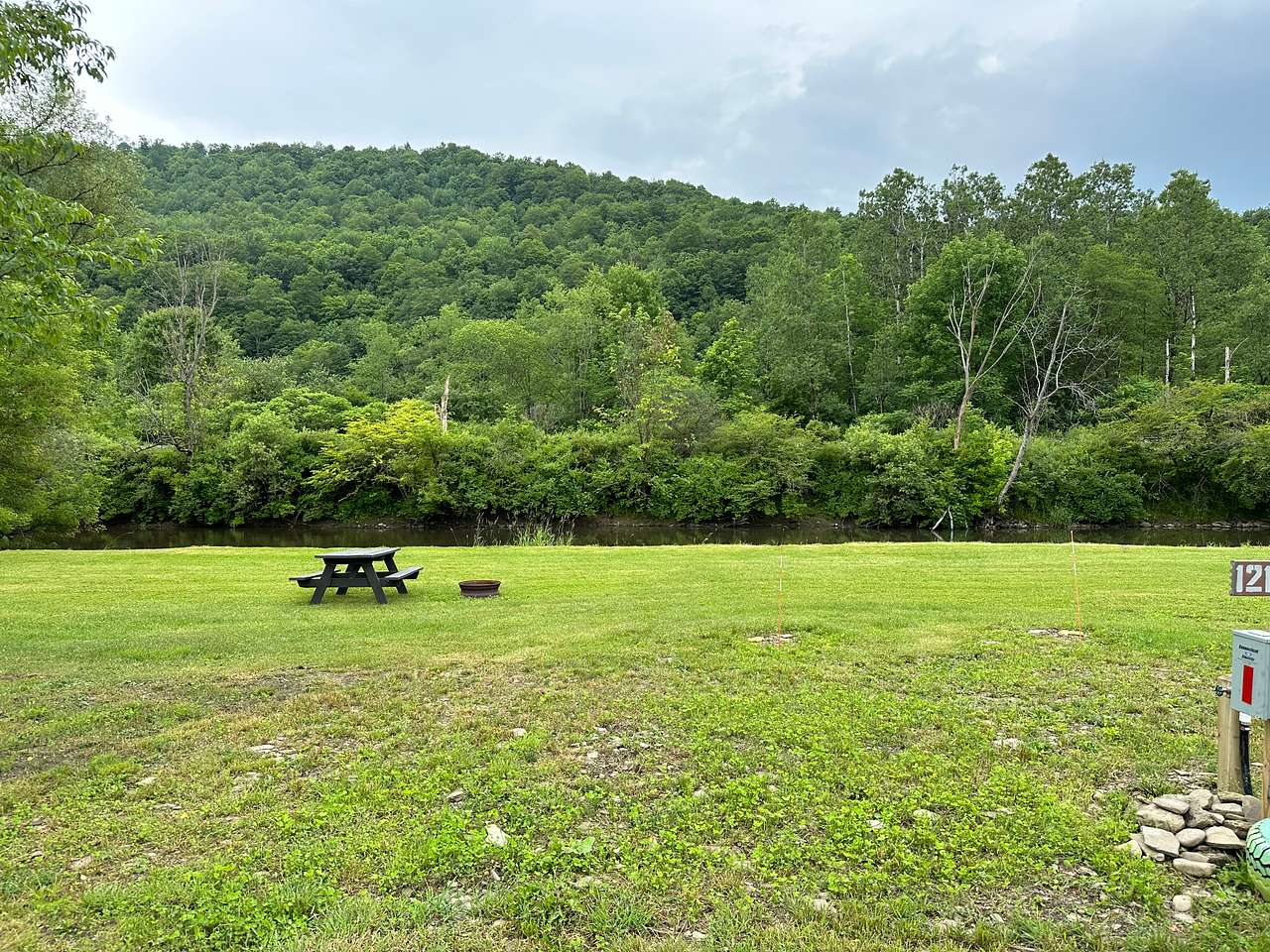 Picture of the site