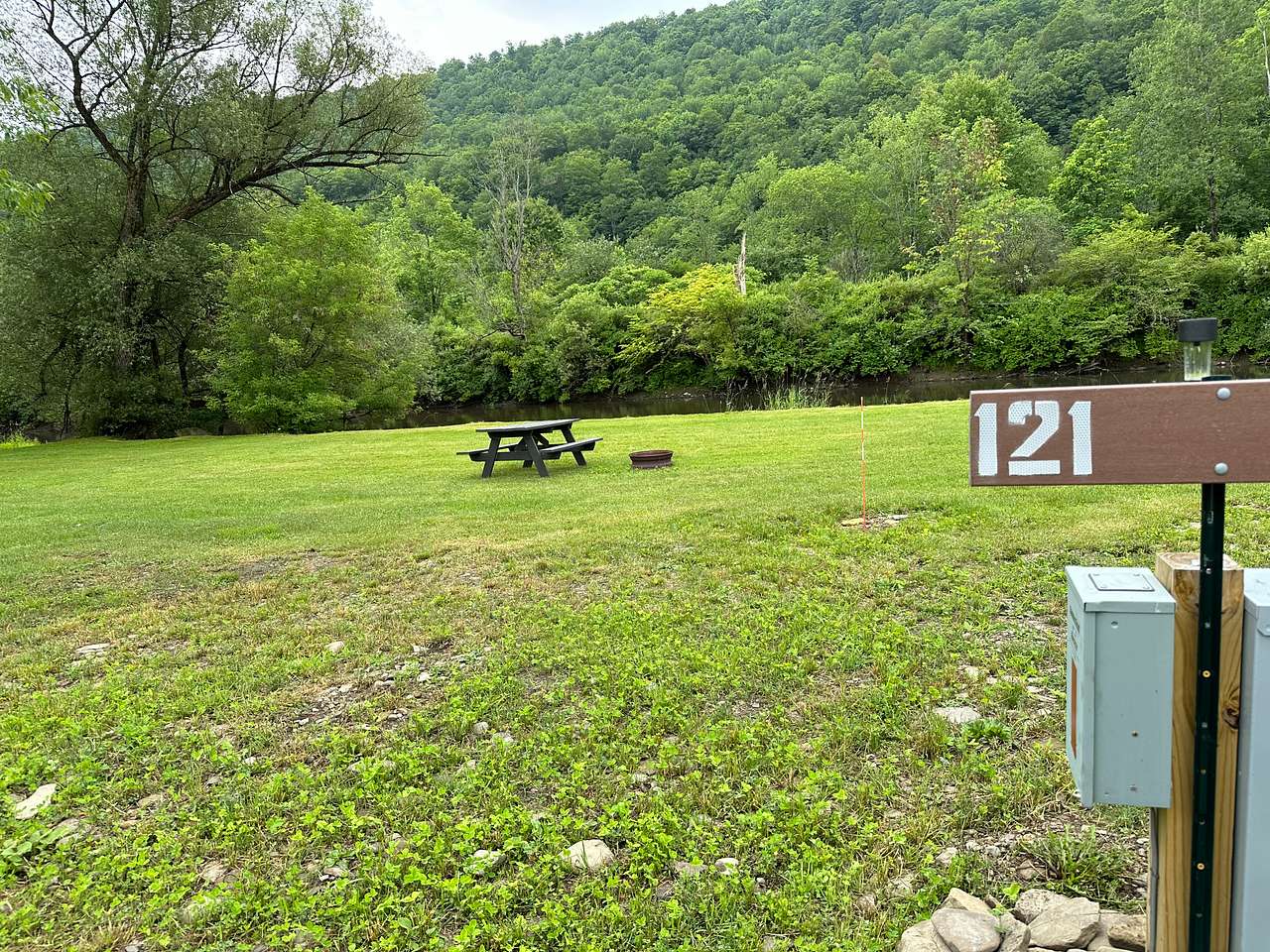 Picture of the site