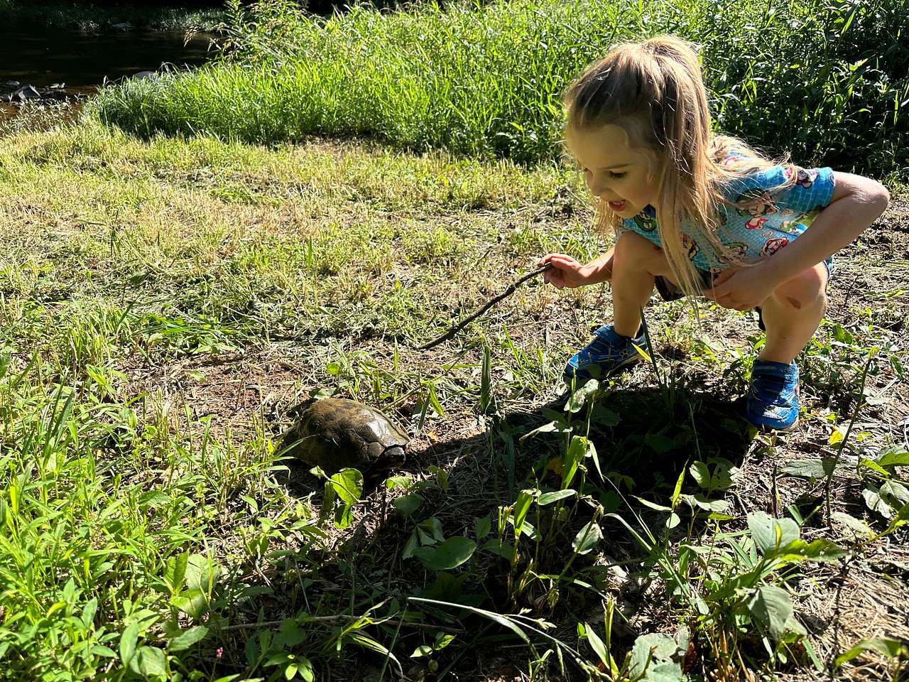 Carp Cove Farm