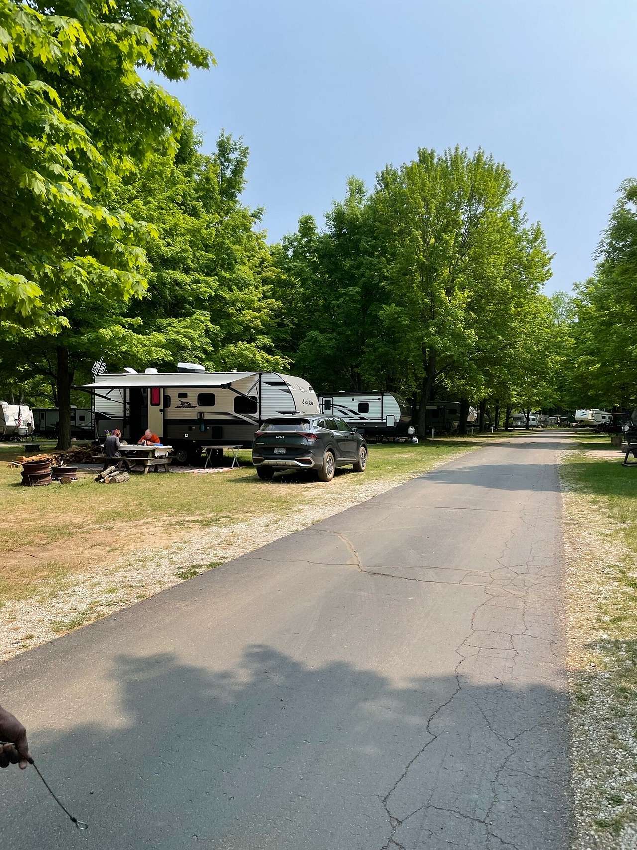 Picture of the site