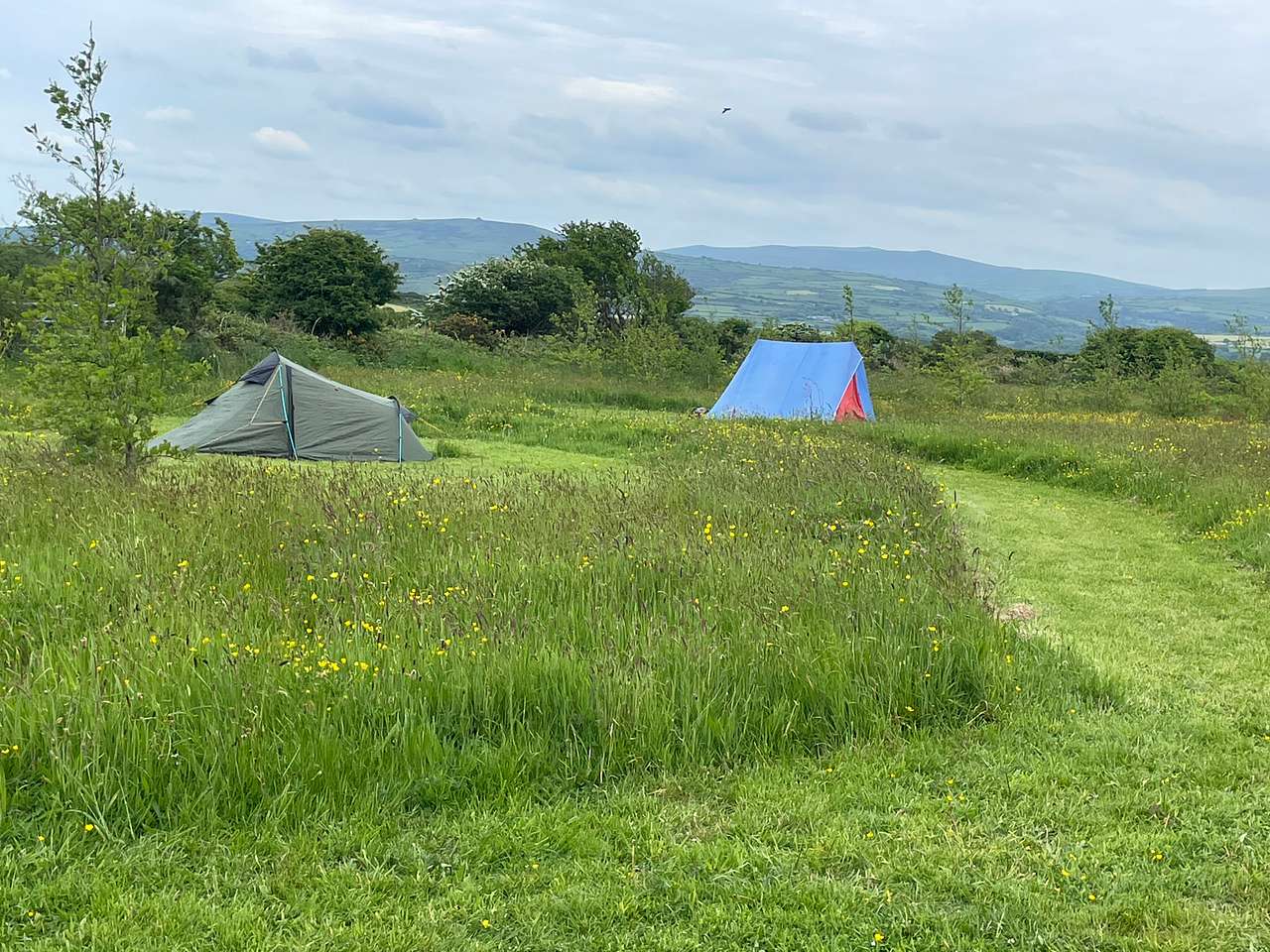 Trefechan Wen Coastal Camping