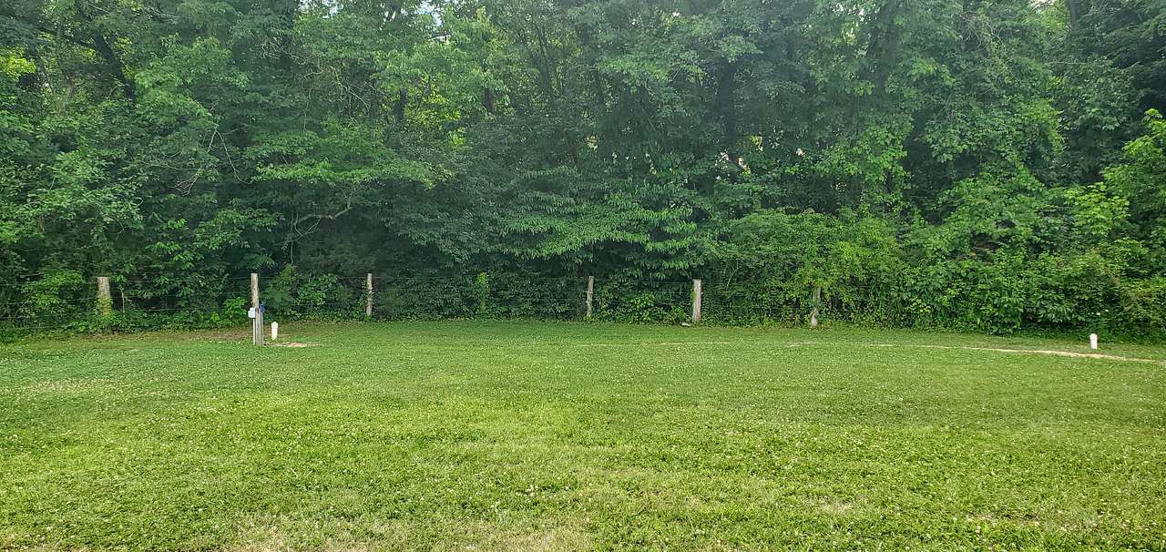 Site facing toward the west from the driveway.