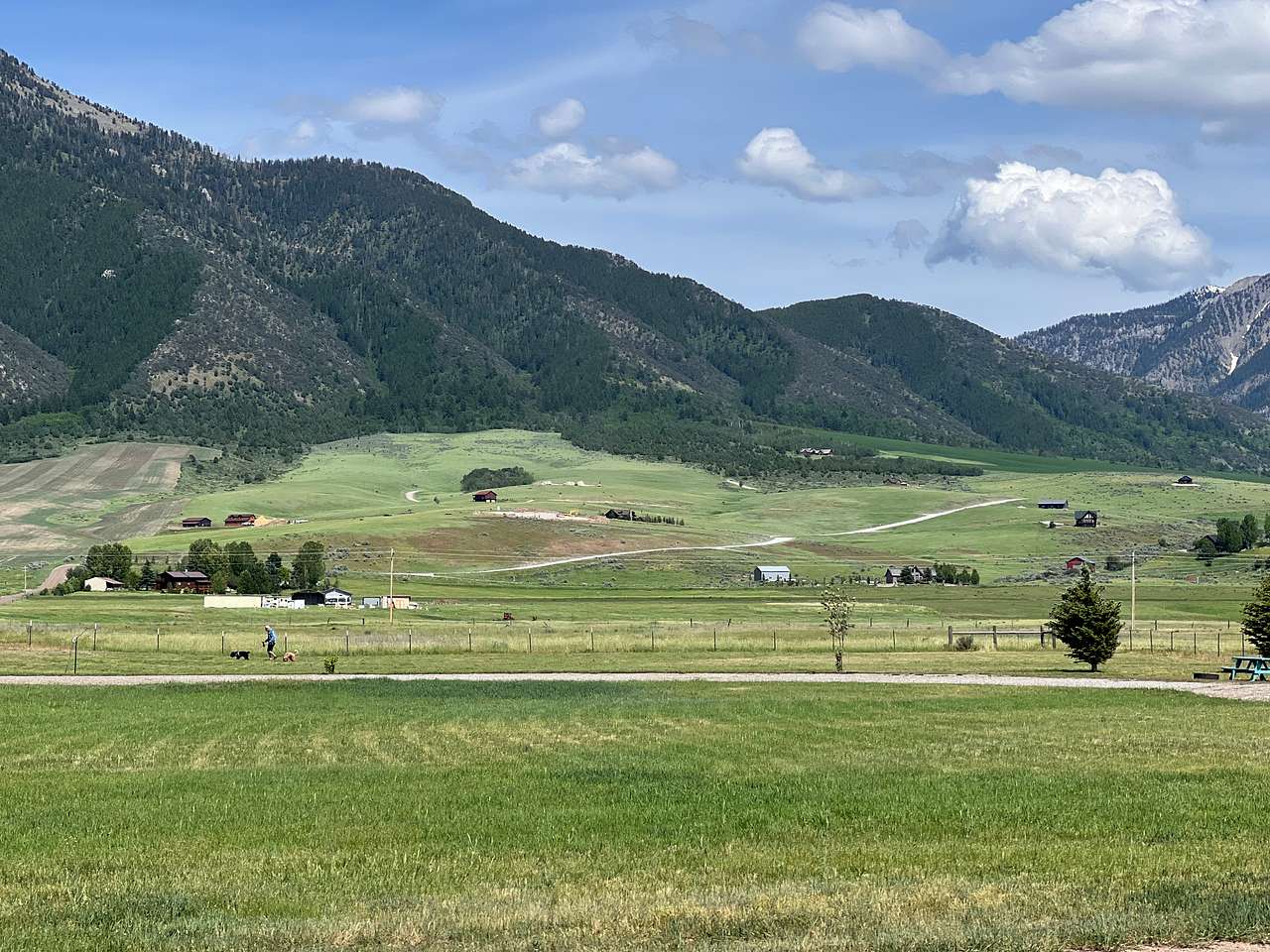 Picture of the site