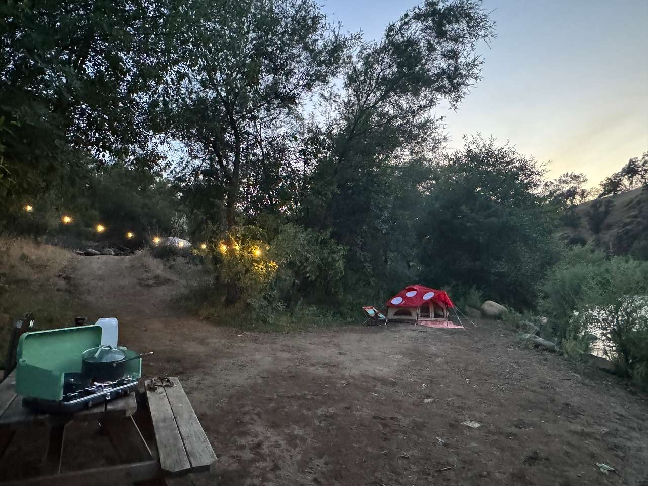 Picture of the site