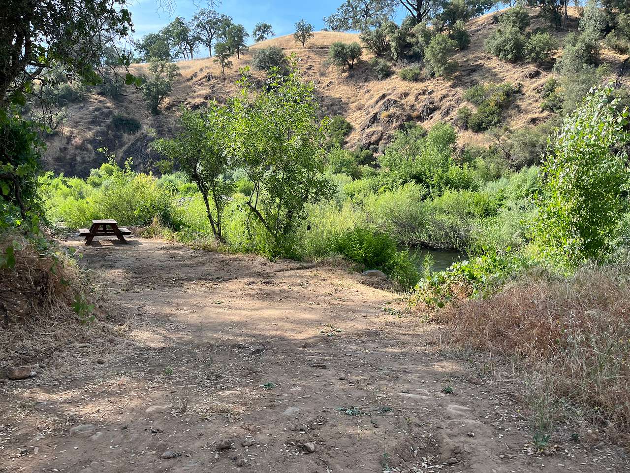 Picture of the site