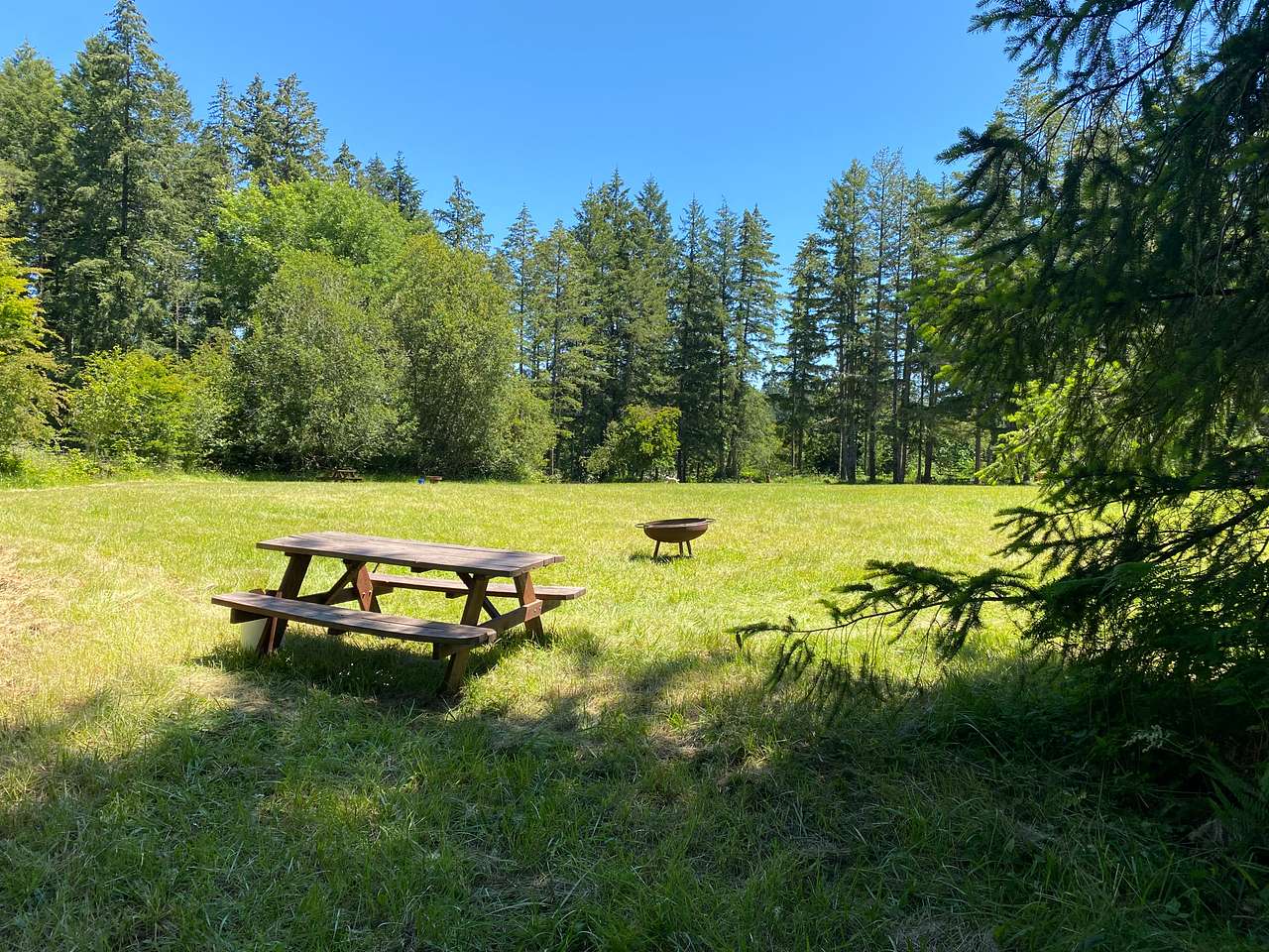 Meadow site 2