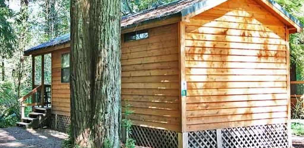 Ramblin' Redwoods Cabins