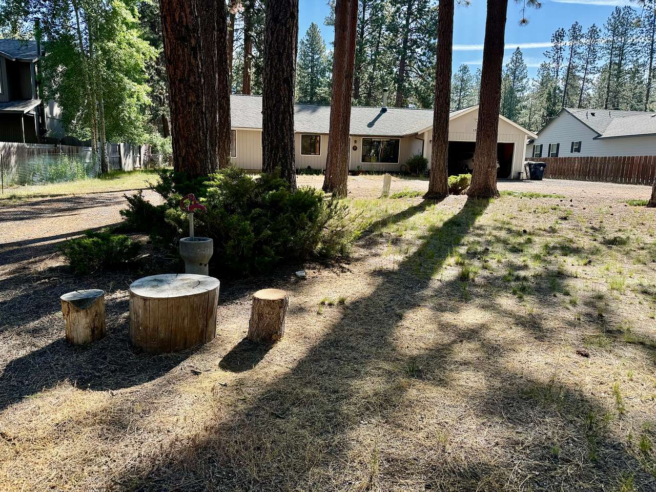 Ponderosa Pine Sanctuary