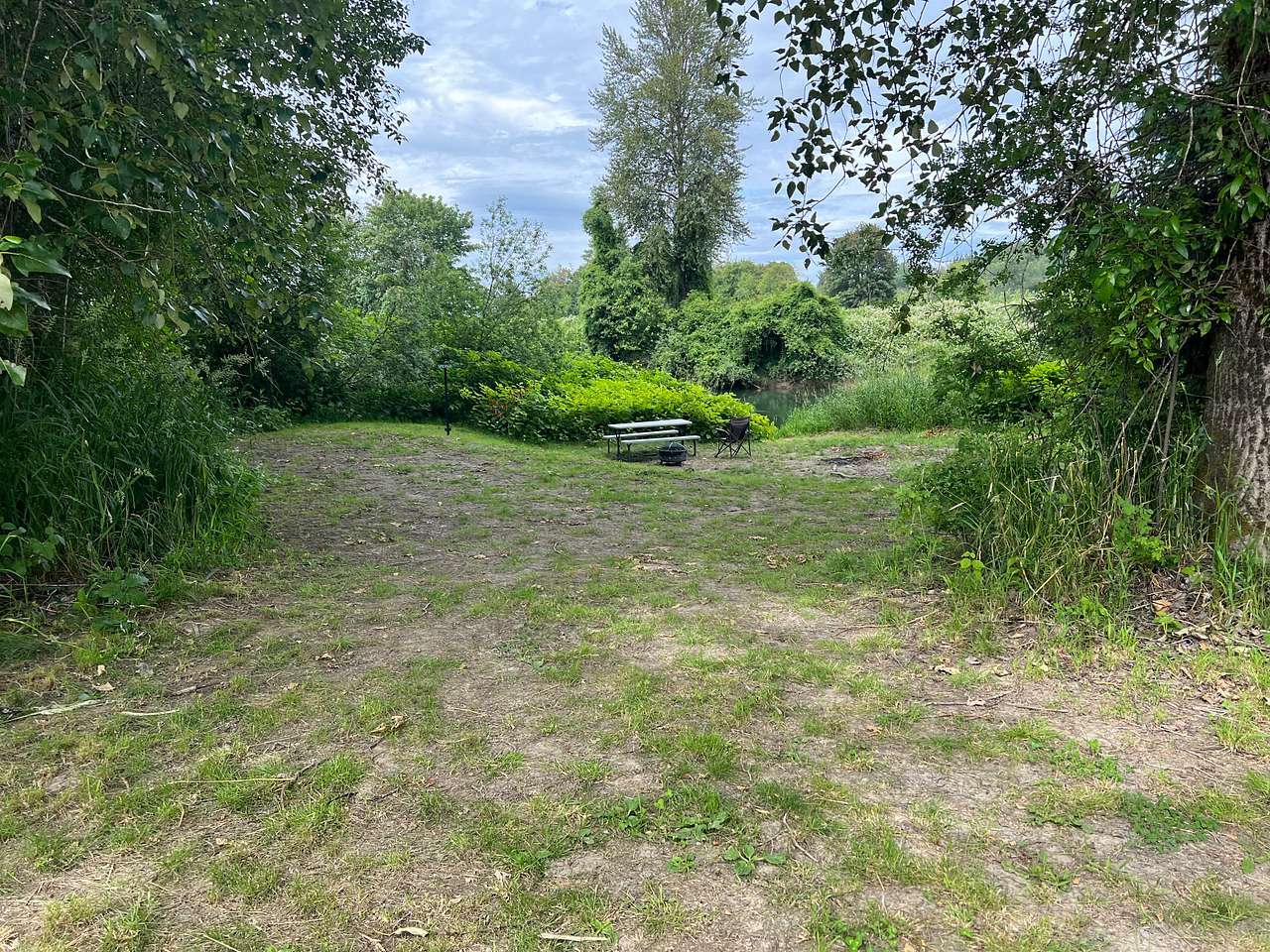 Broad view of Site 4. Another site (Site 3) is to the right of this photo. Friends and family should book these sites together. 