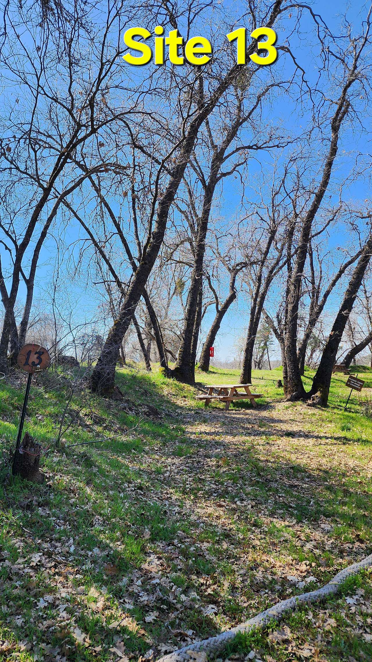 Picture of the site