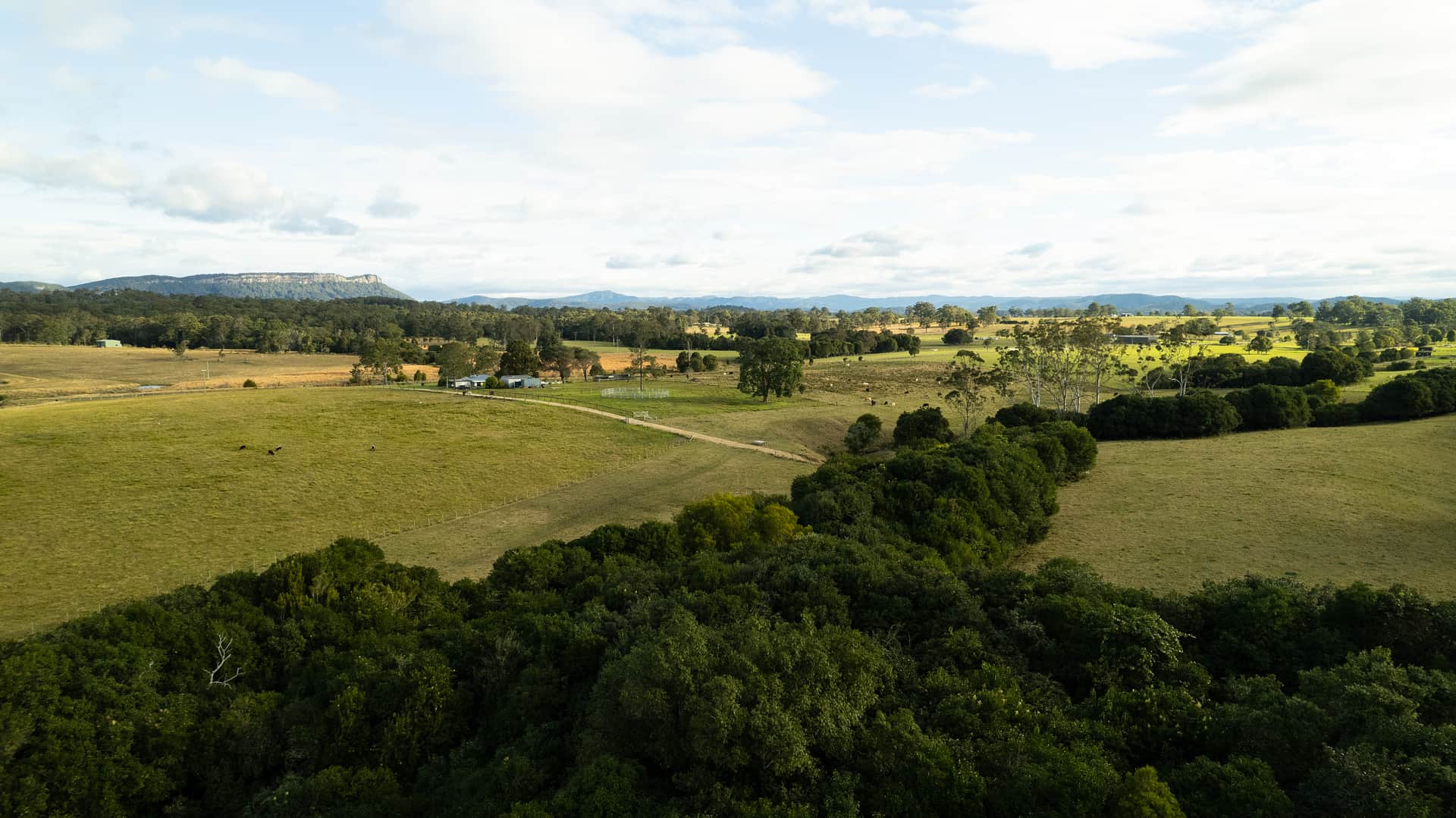 Cameron Falls Farm