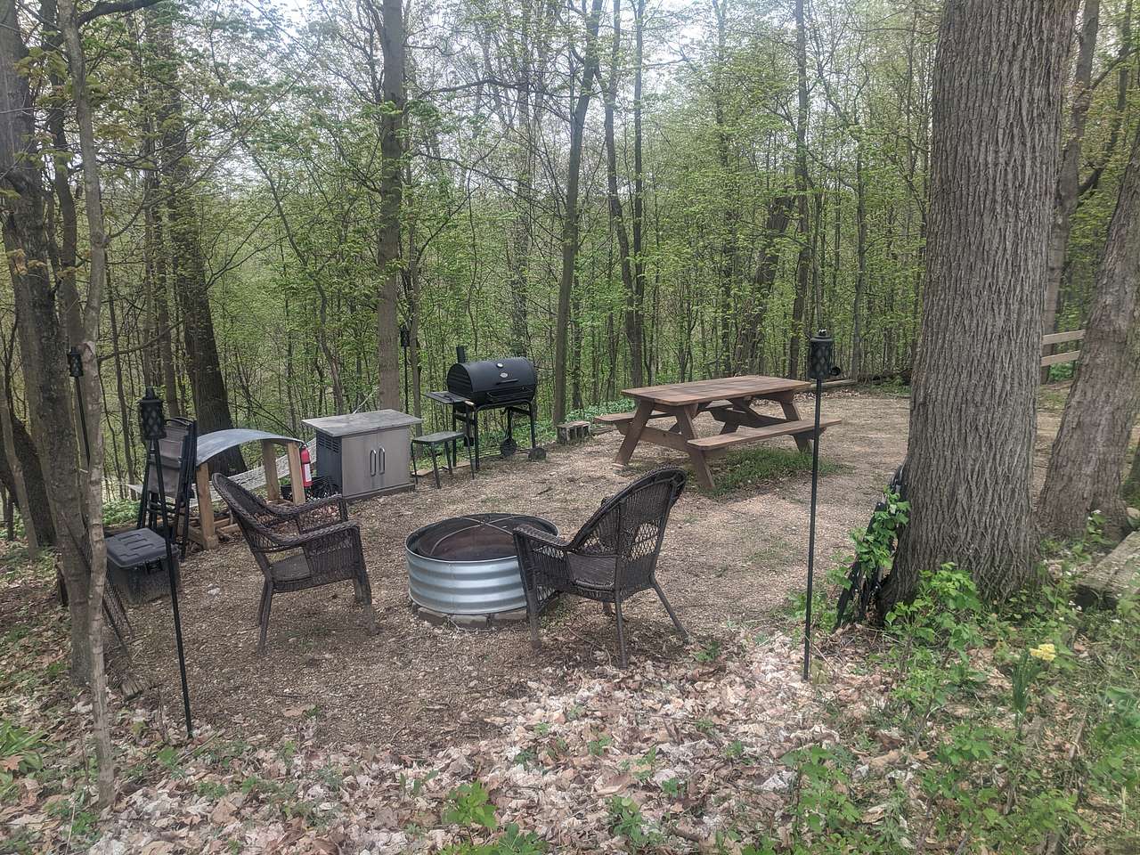 Picture of the site