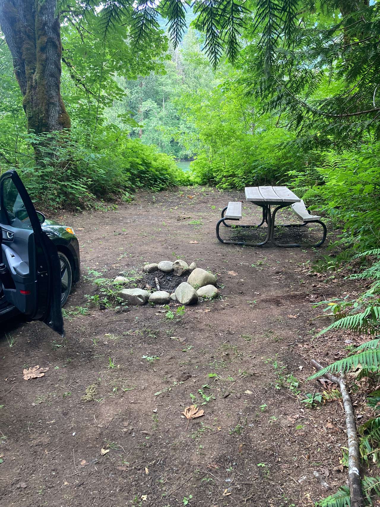 Picture of the site