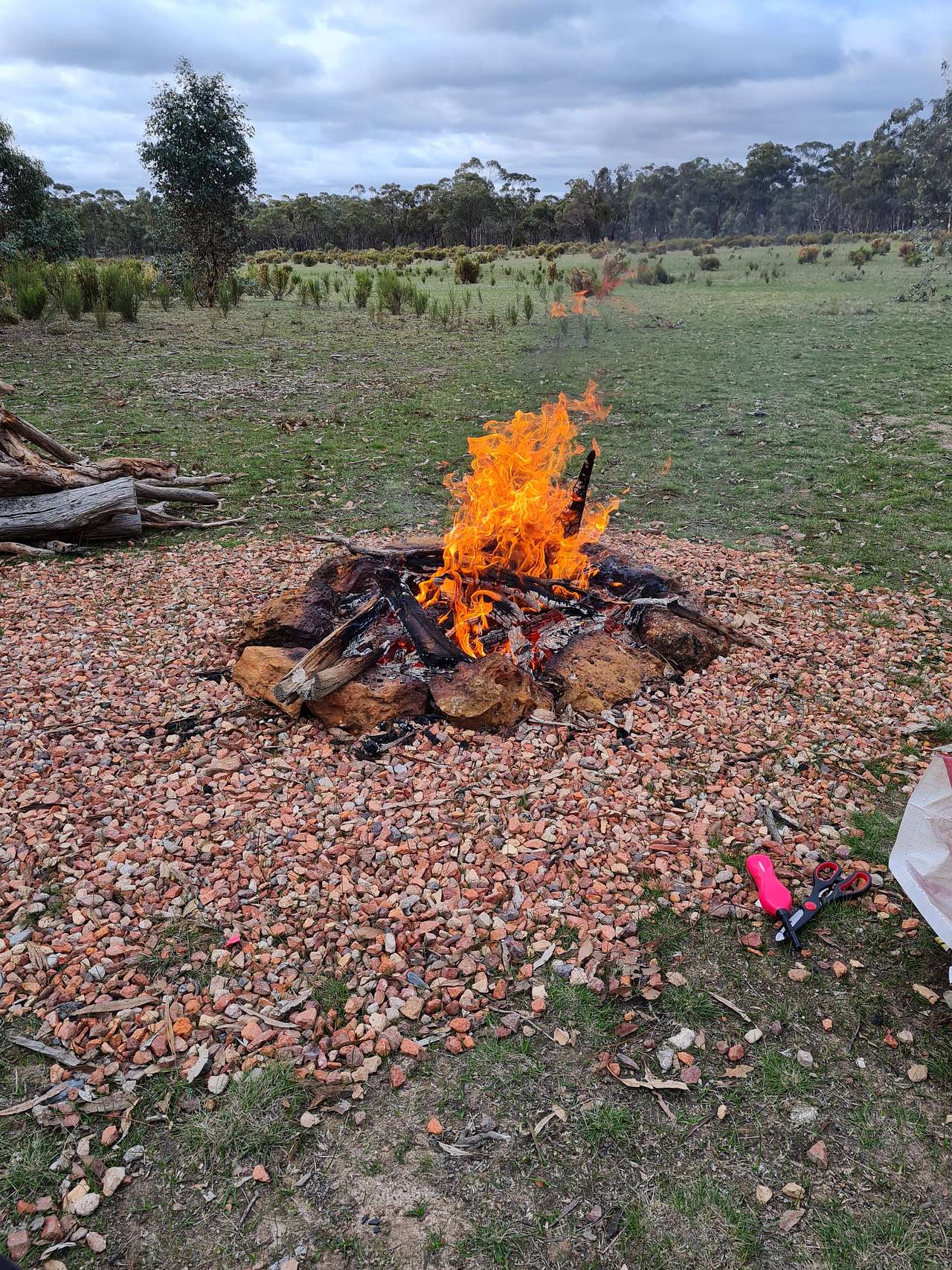 Picture of the site