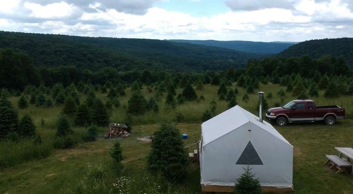 Picture of the site