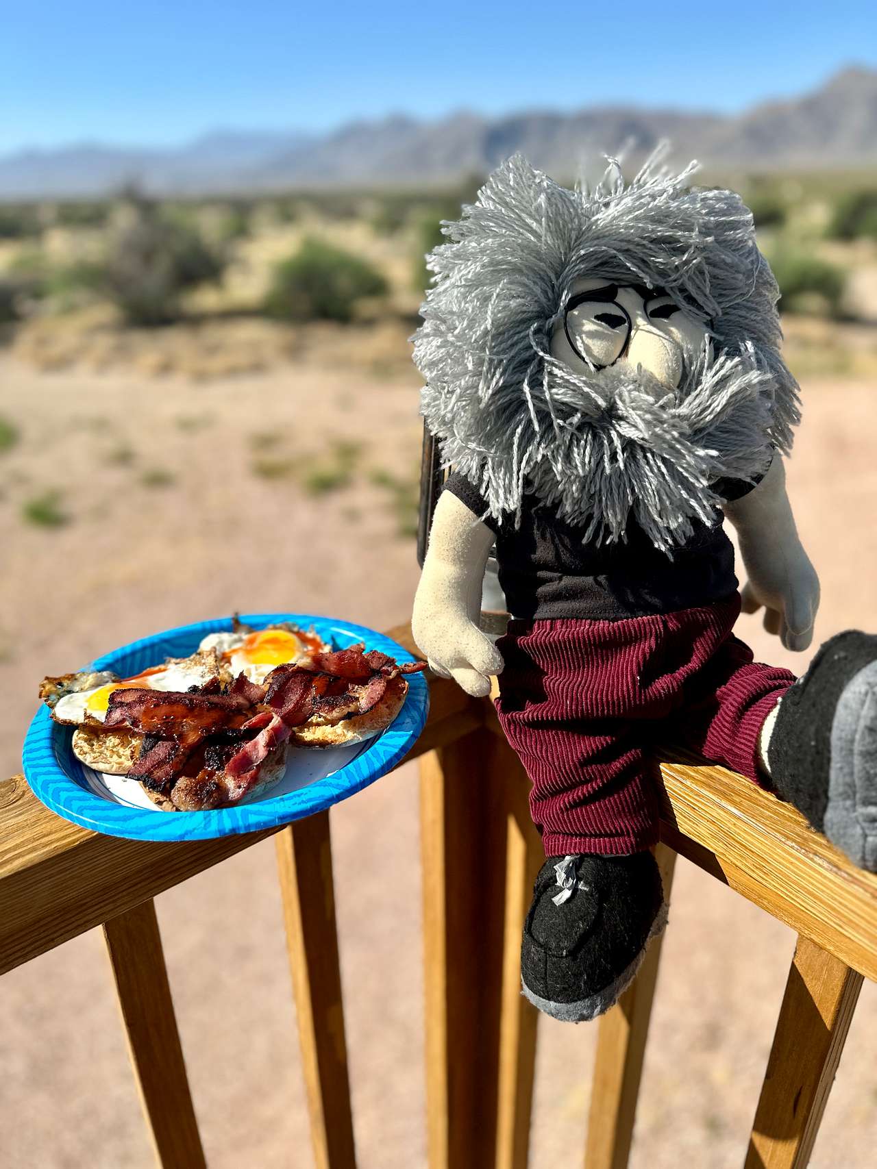 Mojave Desert Ranch