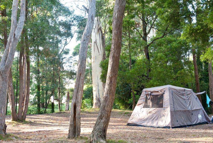 Picture of the site