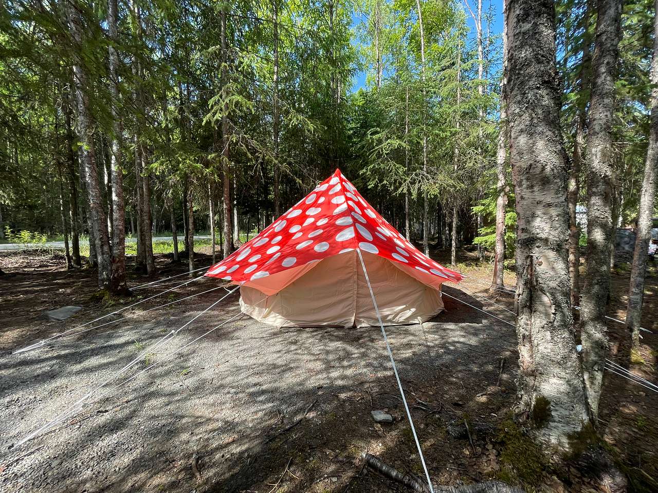 Gnome dome bell ten